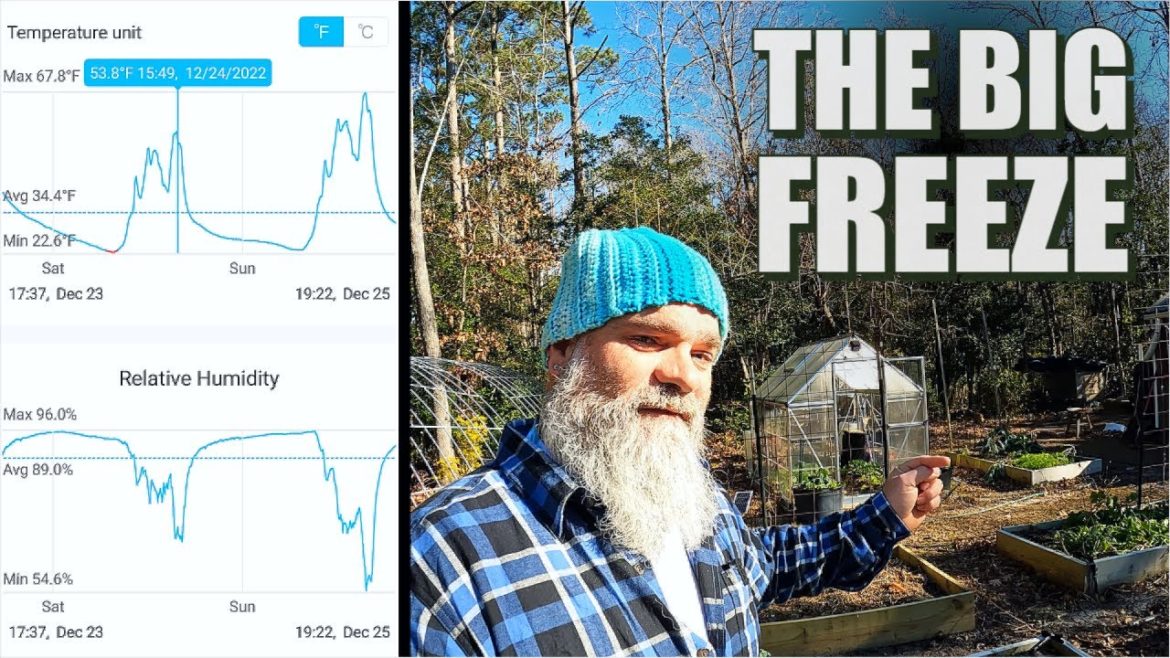 Greenhouse, Low Tunnel, and Garden temps During the big freeze