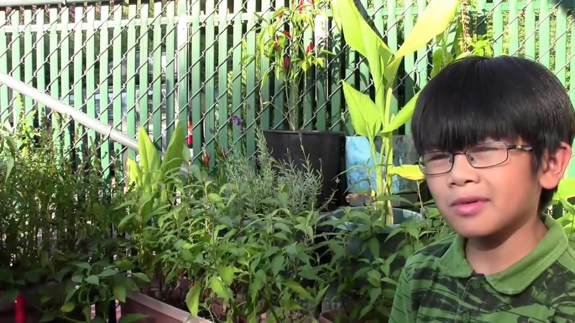 Exotic Vegetables, Herbs & Tropical Plants From My Mom's Enchanted Backyard Garden (Preview)