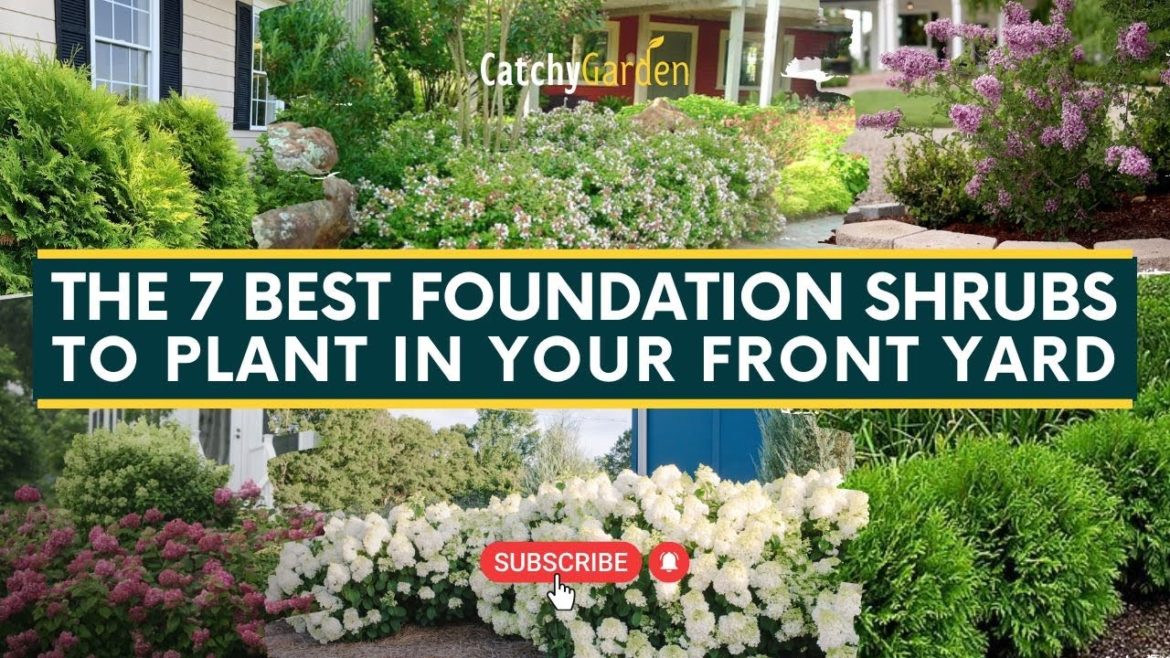 The 7 Best Foundation Shrubs to Plant in Your Front Yard 🌹🌲 // Gardening Tips