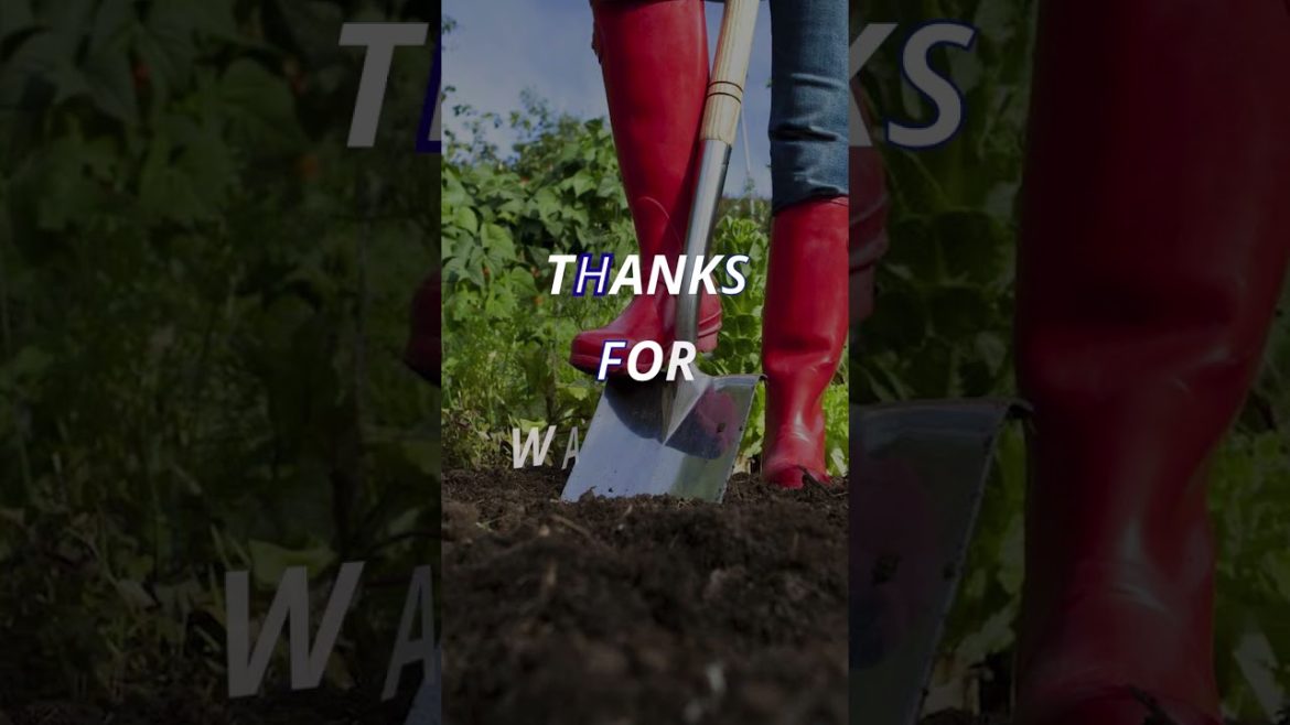 TOP 6 Gardening Boots 2022 | to Keep Your Feet Dry and Protected! TOP 6 Gardening Boots 2022 | to Keep Your Feet Dry and Protected!