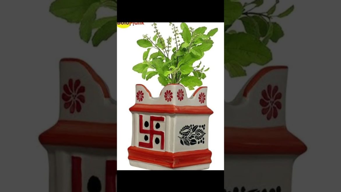 नए साल के दिन धन समृद्धि पाने के लिए तुलसी का एक उपाय।#shorts #short #shortvideo #trending #trend नए साल के दिन धन समृद्धि पाने के लिए तुलसी का एक उपाय।#shorts #short #shortvideo #trending #trend