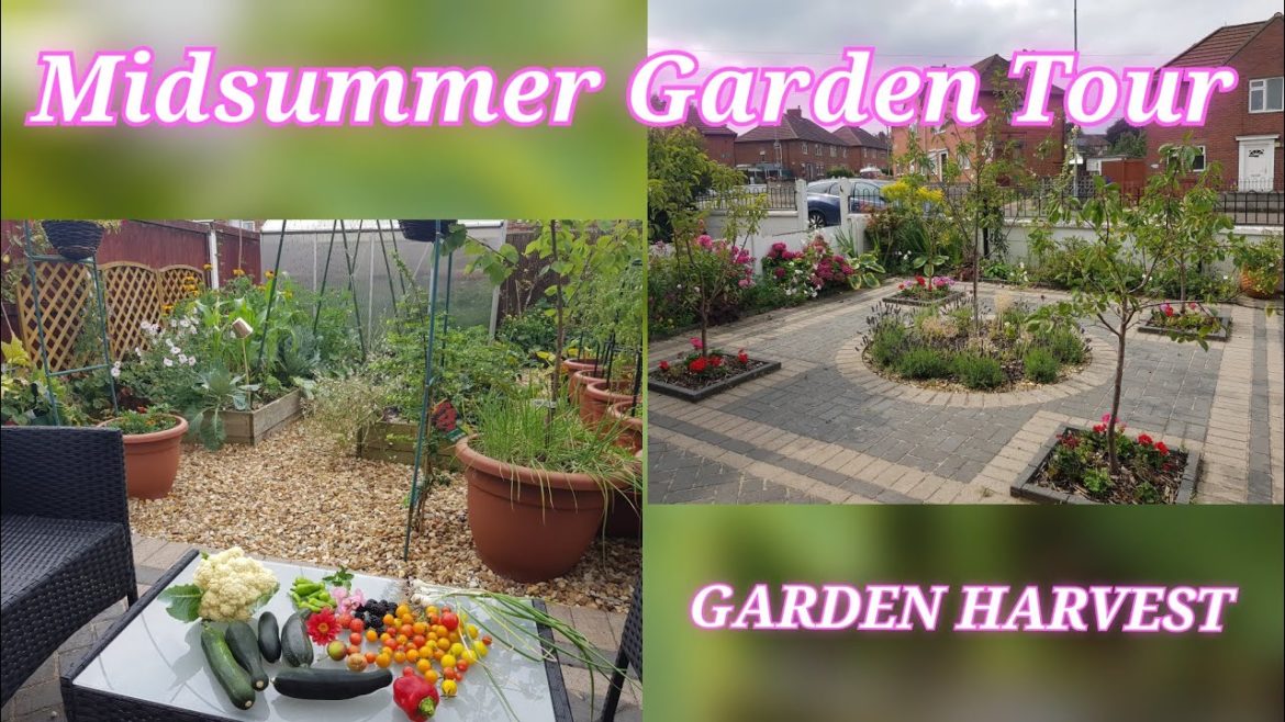 August Garden Tour after the Heat Wave & garden harvest ~ Front yard and backyard UK home garden
