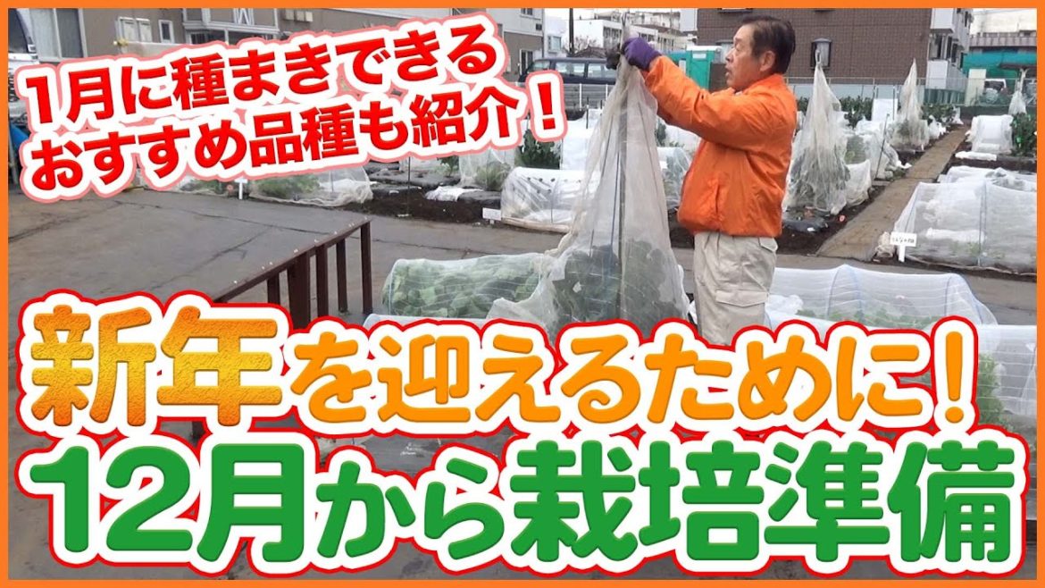 家庭菜園や農園栽培で新年を迎えるために！12月から始めたい栽培準備とおすすめ1月種まき野菜品種を徹底解説！/Tips for preparing for farming in December.