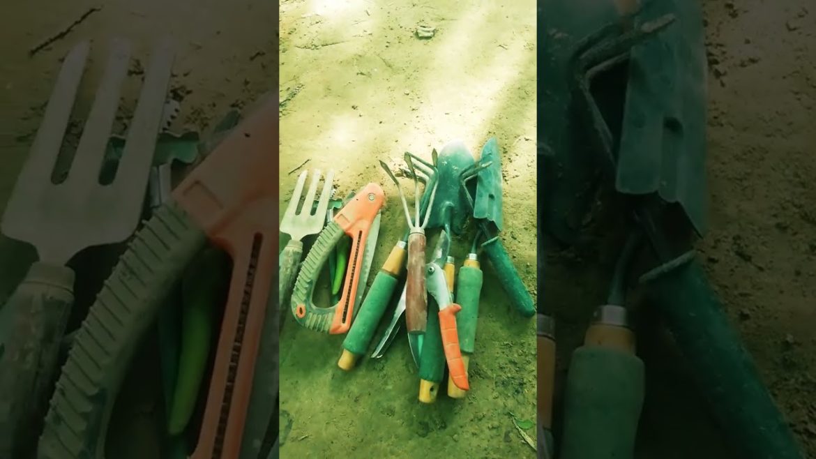 My garden tools Small Beautiful Home Garden Equipment #shorts #garden @spearjac