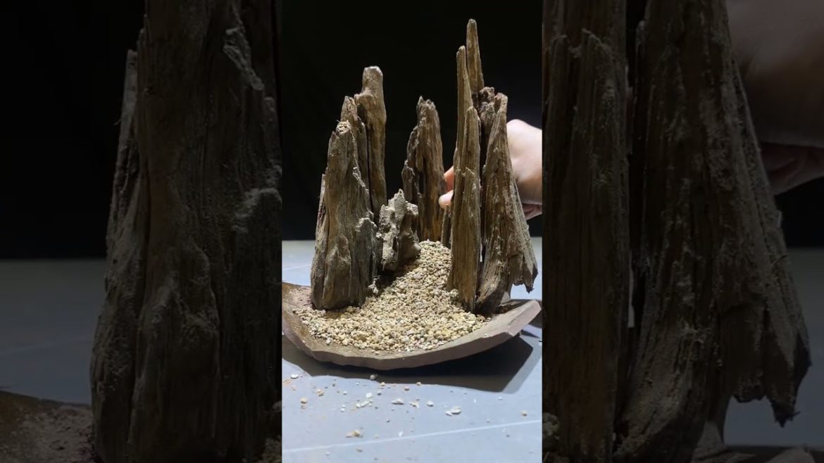 Small Waterfall Ideas DIY at Home | Miniature Garden | Terrarium Design Ideas | Ep 09 #Shorts