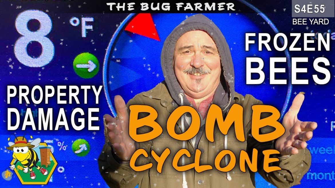Bomb Cyclone | Freezing Temps | Property Damage | Will the bees freeze? #beekeeping #insects Bomb Cyclone | Freezing Temps | Property Damage | Will the bees freeze? #beekeeping #insects