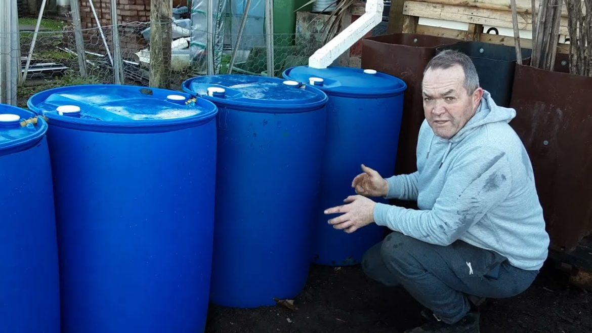 Allotment Jobs Done In Two Hours ๐ป Rain Water Barrels ๐ป Pruning Autumn Raspberry Canes ๐ป Allotment Jobs Done In Two Hours ๐ป Rain Water Barrels ๐ป Pruning Autumn Raspberry Canes ๐ป