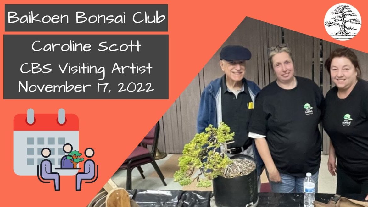 Caroline Scott – CBS Visiting Artist – November 2022 – Club Meeting – Baikoen Bonsai Club Caroline Scott - CBS Visiting Artist - November 2022 - Club Meeting - Baikoen Bonsai Club