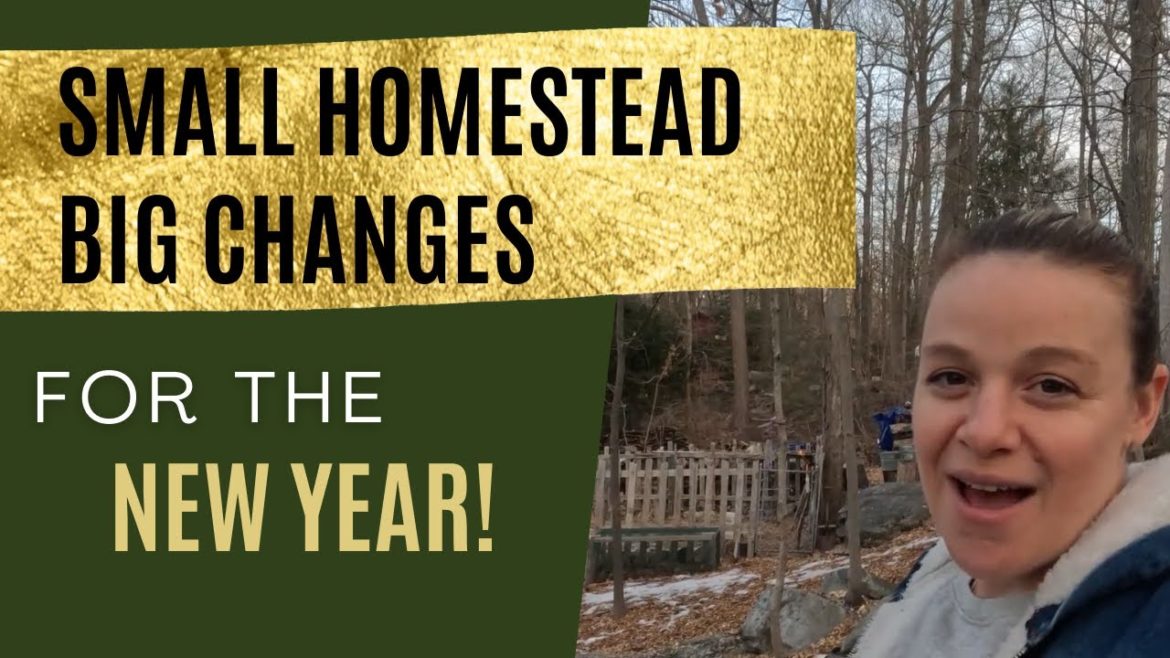 SMALL SCALE FARMING | START ONE IN YOUR BACKYARD |