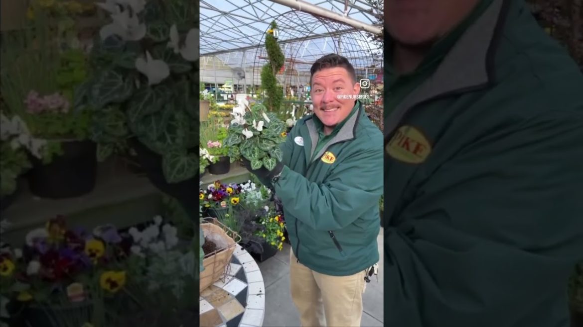 Winter Container Garden Design