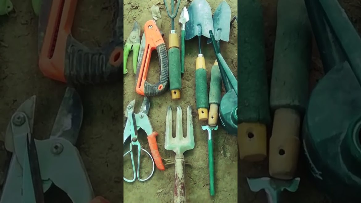 My garden tools Small Beautiful Home Garden Equipment #shorts #garden #gardentools  @spearjac
