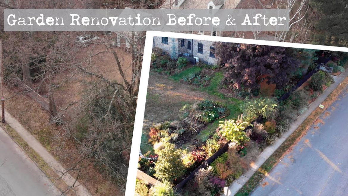 Renovating My Abandoned Garden | 3 Years Before & After Renovating My Abandoned Garden | 3 Years Before & After
