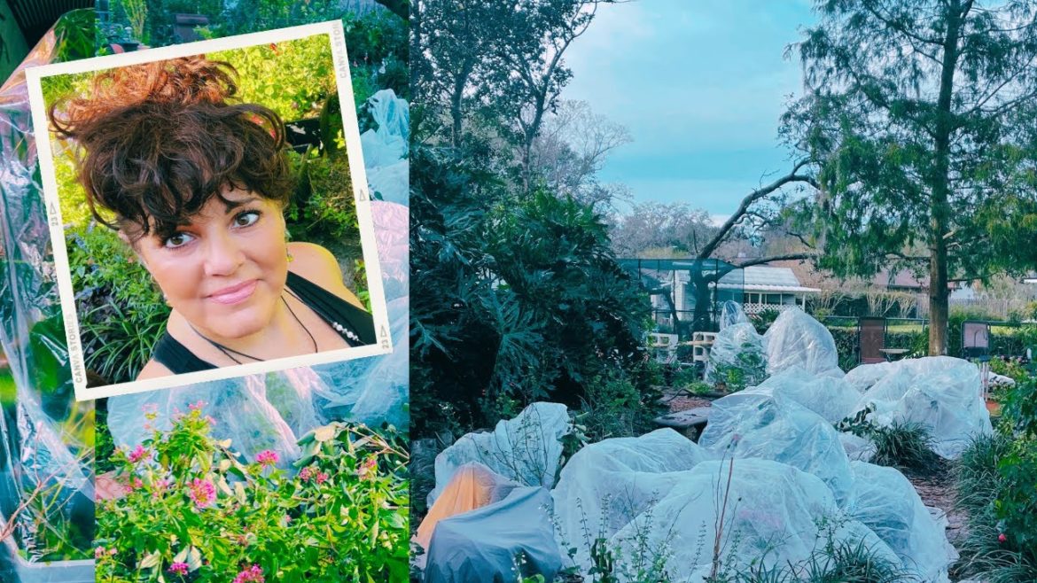 My Florida Garden Season 3 Finale, The Big Freeze 🥶🥶🥶 My Florida Garden Season 3 Finale, The Big Freeze 🥶🥶🥶