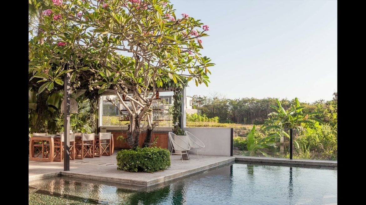 Tropical Garden Oasis ideas