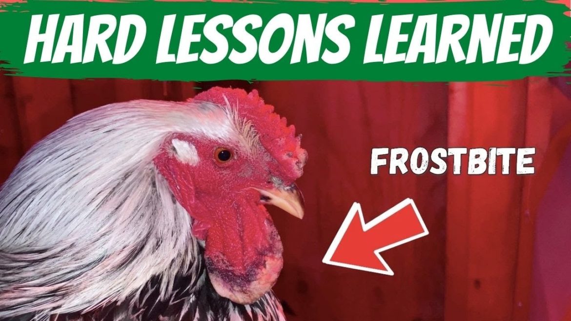 10 Lessons Learned on our New Alaskan Homestead - YEAR 2 DONE ✅