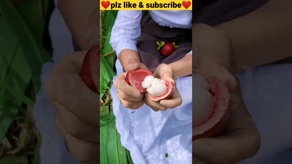 #2 enjoy rural life with tasty fruit🍒 #satisfying #short #agriculture #villagelife