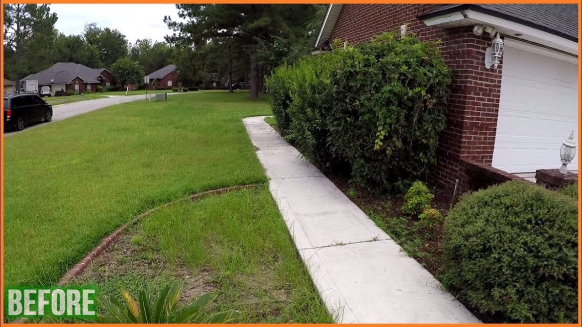 This House Needs A Front Yard Makeover