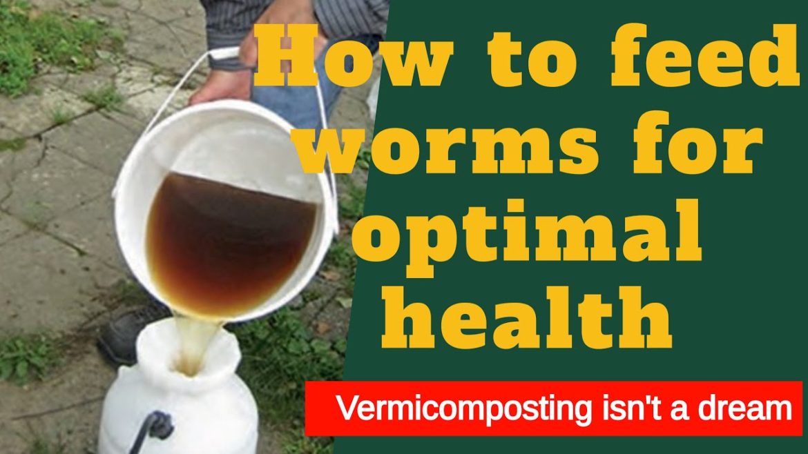 The benefits of using worms for compost tea | Vermicomposting | Compost