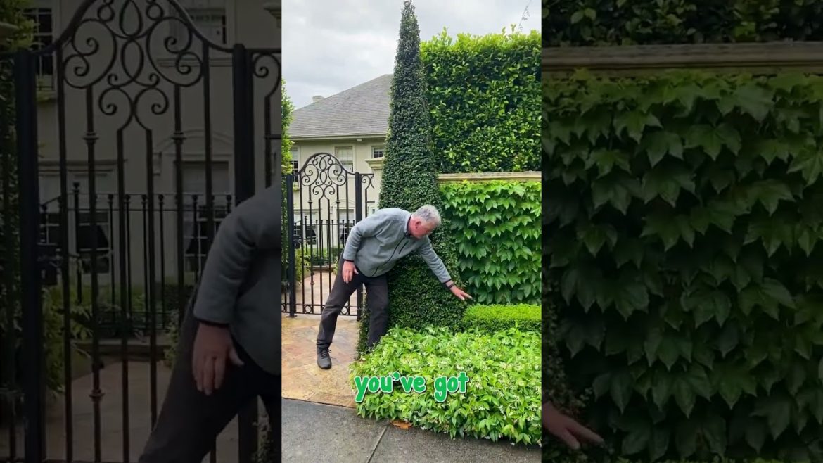 Essence of Toorak Essence of Toorak