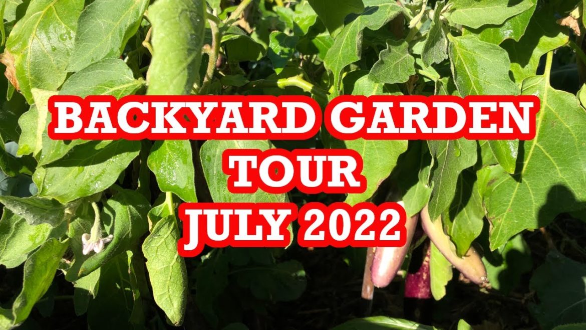 Backyard Garden Tour - July 2022