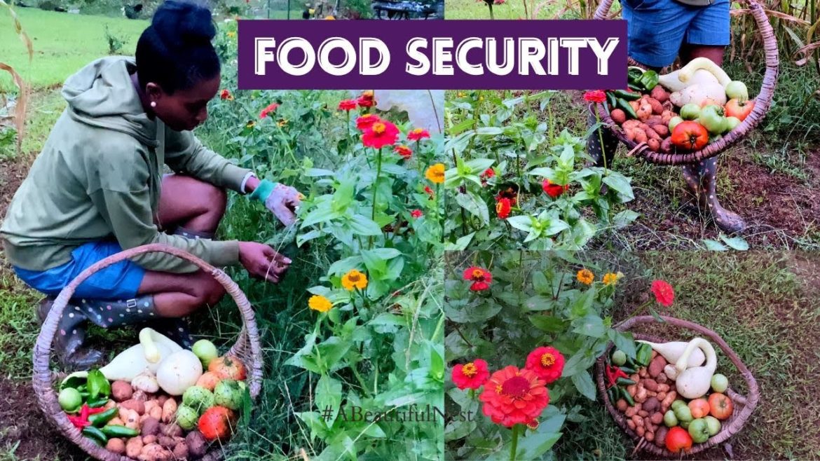 FOOD Crisis changes this mother's outlook on food security! #47 FOOD Crisis changes this mother's outlook on food security! #47