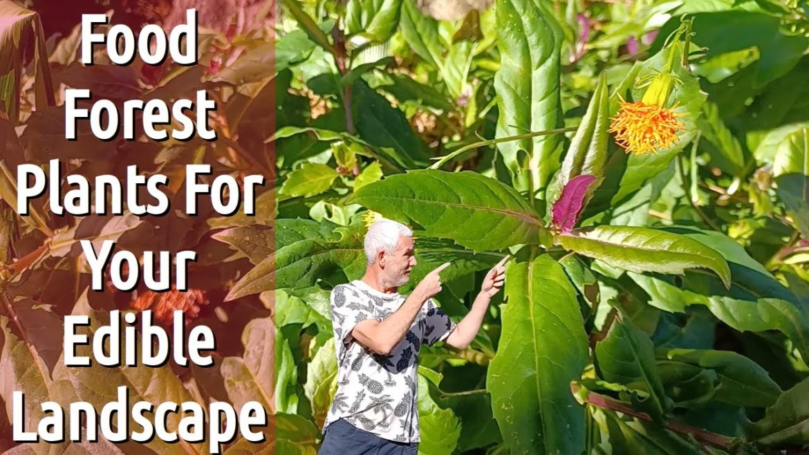 Harvest Your Own Food With These Top 9 Edible Landscape Plants Harvest Your Own Food With These Top 9 Edible Landscape Plants