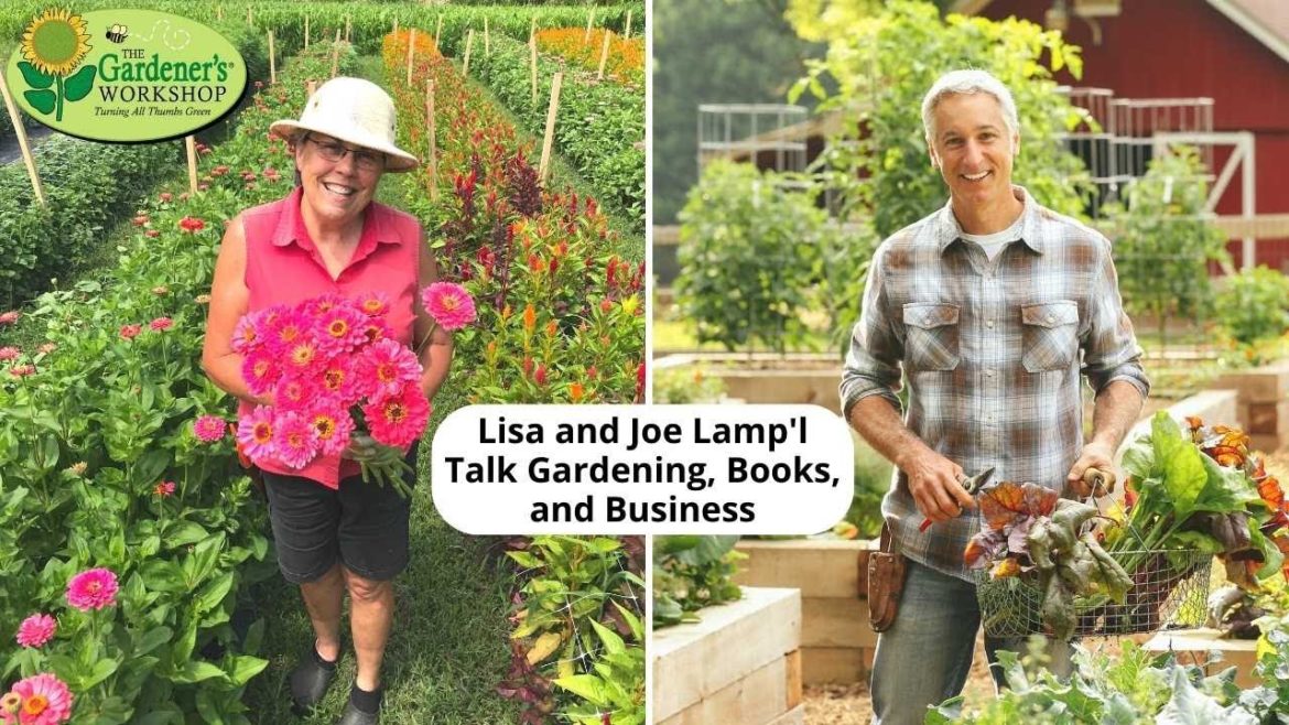 Lisa and Joe Lamp'l Talk Gardening, Books, and Business Lisa and Joe Lamp'l Talk Gardening, Books, and Business