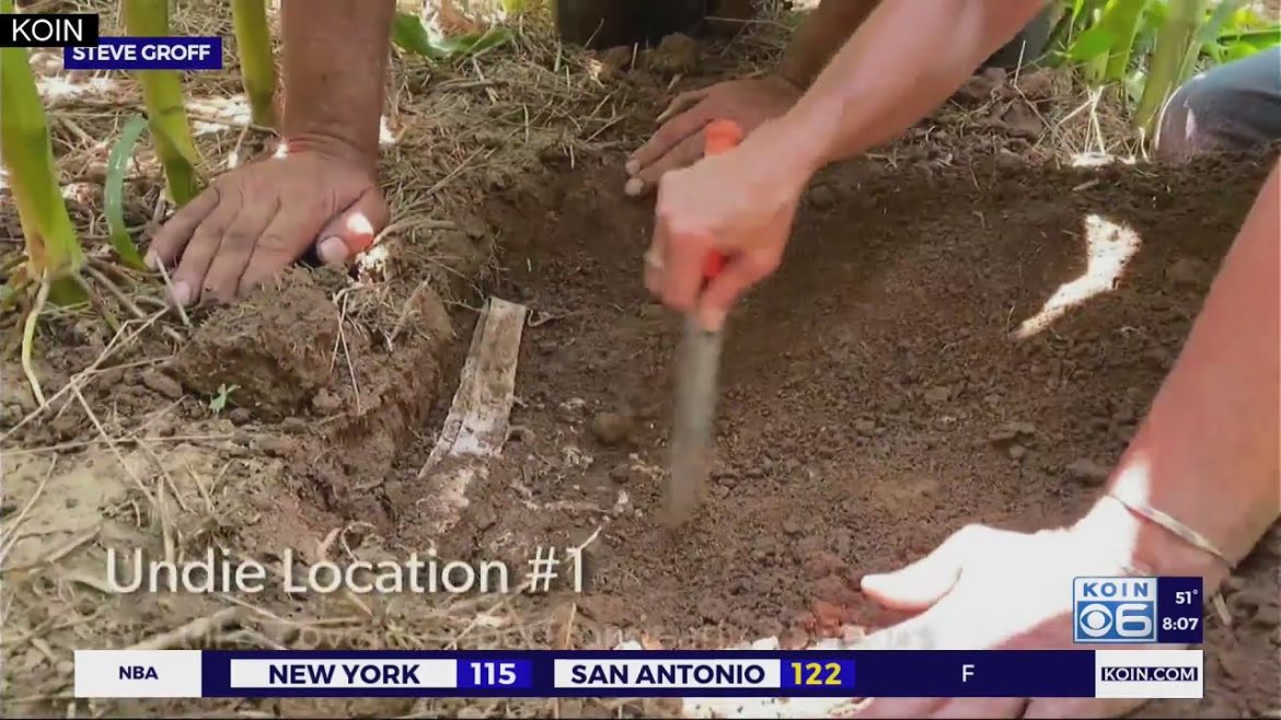 Farmer shares gardening tips for the new year