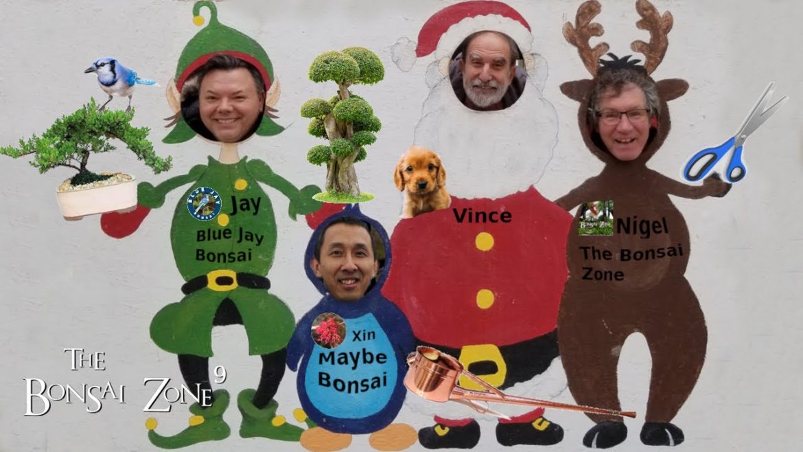 Friends, Gifts and Bonsai Work, The Bonsai Zone, Dec 2022