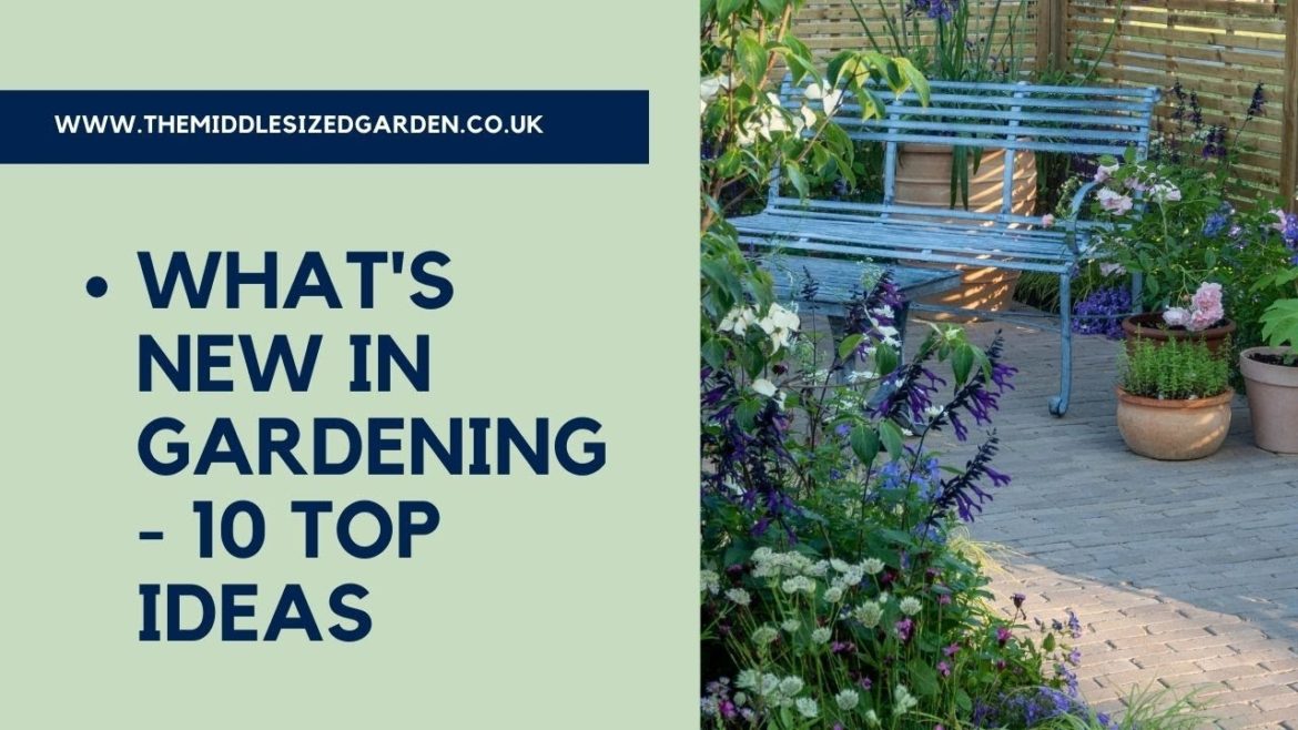 10 good ideas for your garden from RHS Hampton Court Palace Garden Festival 10 good ideas for your garden from RHS Hampton Court Palace Garden Festival