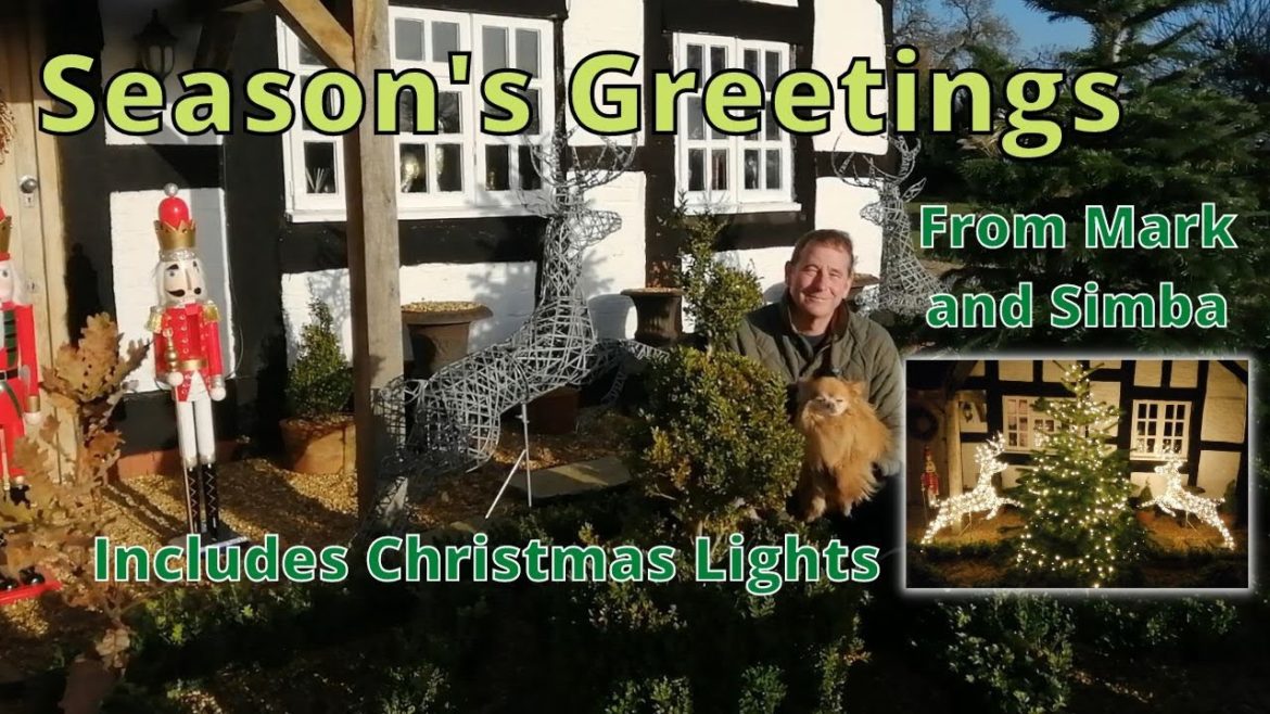Christmas Garden Tour with Decorations at Night Christmas Garden Tour with Decorations at Night
