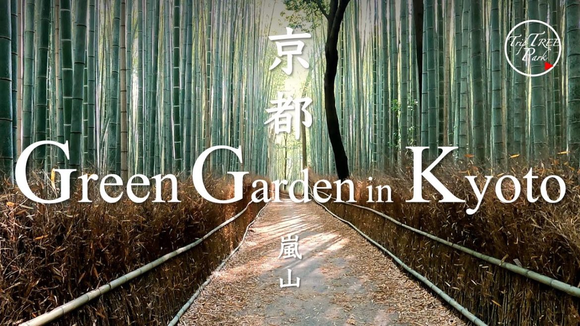 Arashiyama: Bamboo Grove Path and Landscape | Japanese Garden Travel in Kyoto #4 | 京都 嵐山 竹林の小径 | 4K Arashiyama: Bamboo Grove Path and Landscape | Japanese Garden Travel in Kyoto #4 | 京都 嵐山 竹林の小径 | 4K