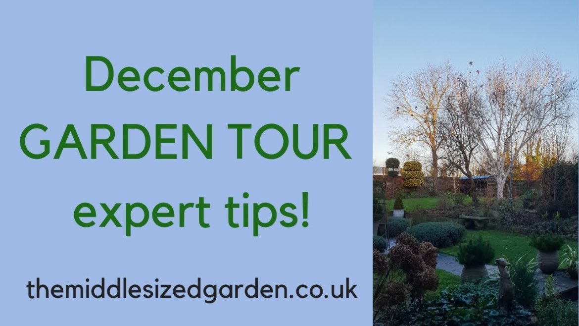 December garden tour - expert winter gardening tips