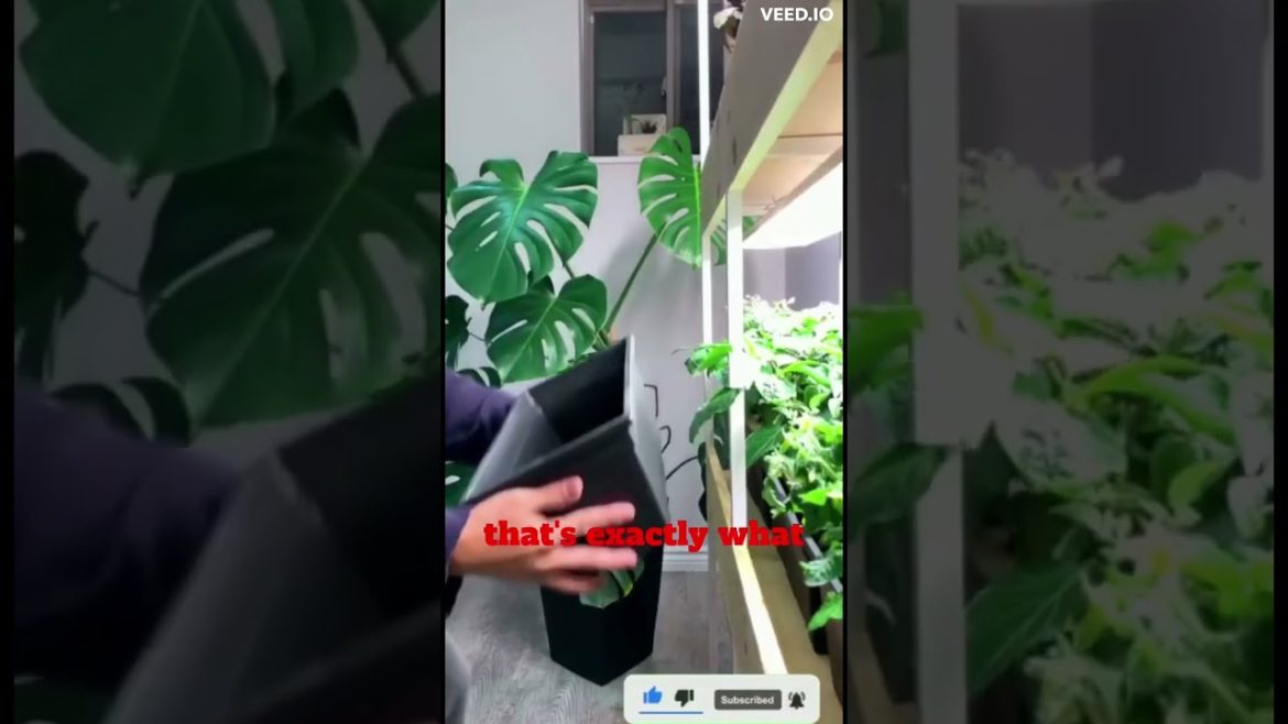 Good deals on gardening supplies #shorts #hydroponics #sustainable #sustainablehome