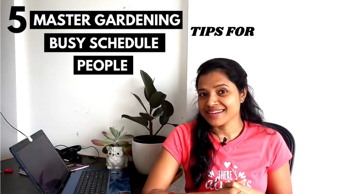 5 Master Gardening Tips for Busy Schedule People| Seeds Giveaway 2020 Update| e URBAN ORGANIC GARDEN 5 Master Gardening Tips for Busy Schedule People| Seeds Giveaway 2020 Update| e URBAN ORGANIC GARDEN