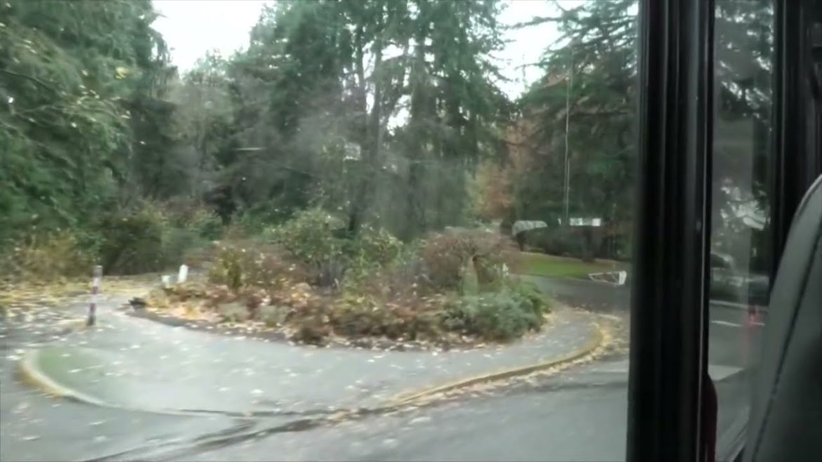 Explore Washington Park Shuttle Ride to Rose Garden/Japanese Garden