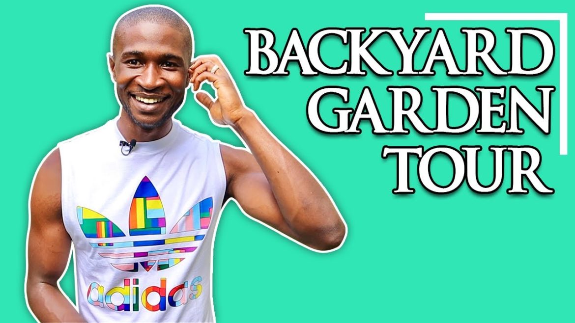 ๐The Real Dean Michael : Backyard Garden Tour โข Page 3 ๐The Real Dean Michael : Backyard Garden Tour โข Page 3