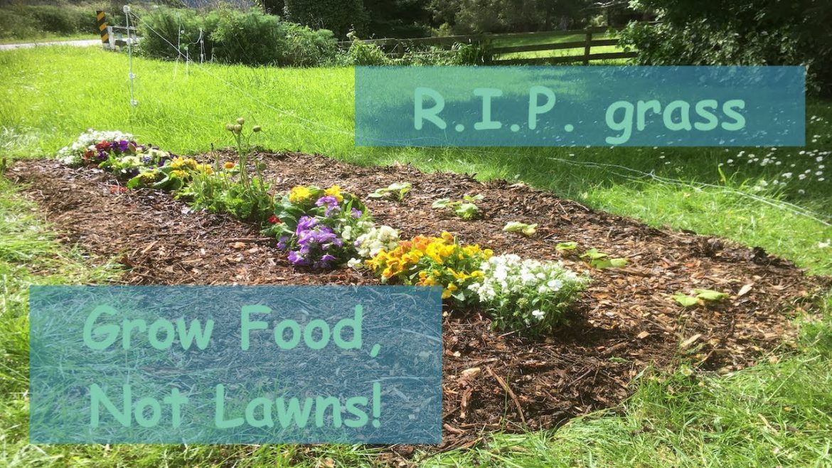 Bye Bye Grass! Hello, Food?! - Front Lawn to Edible Garden Conversion