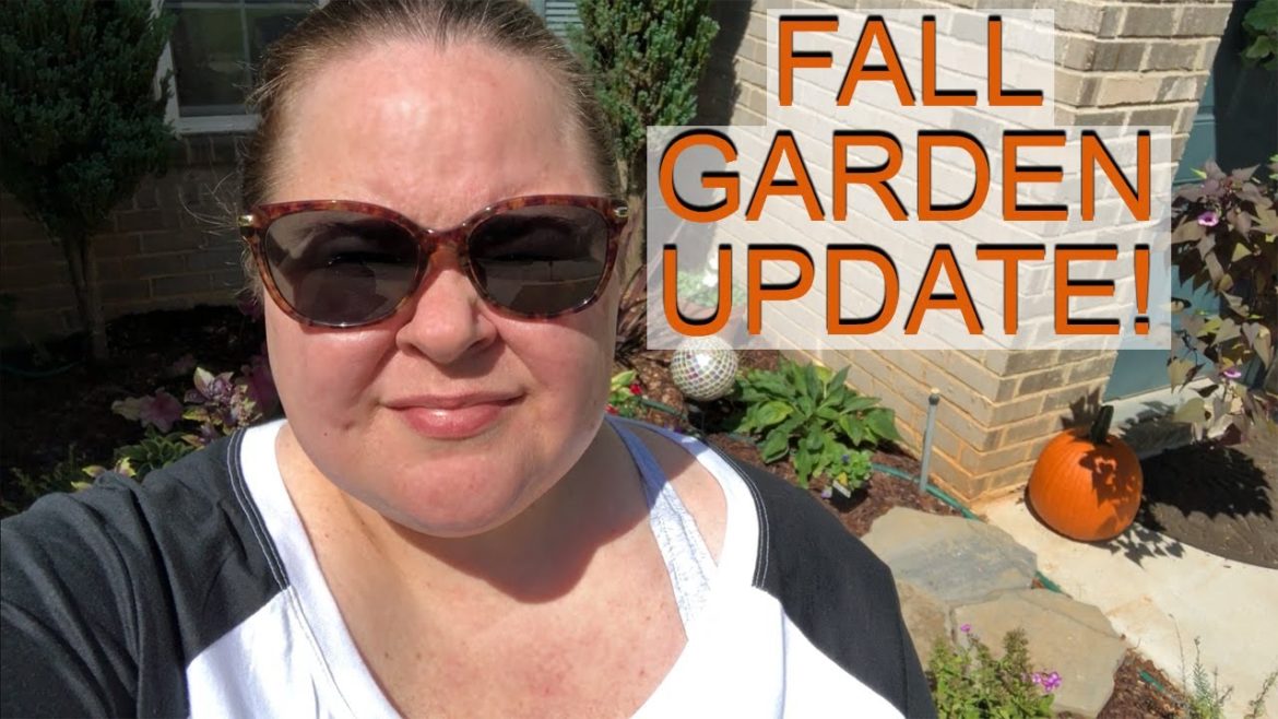 Fall Garden Update Fall Garden Update
