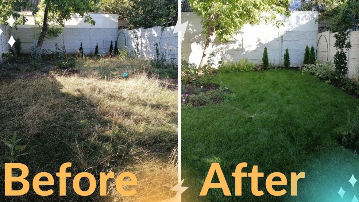 How to Renovate a Small Backyard Garden Without Spending Thousands