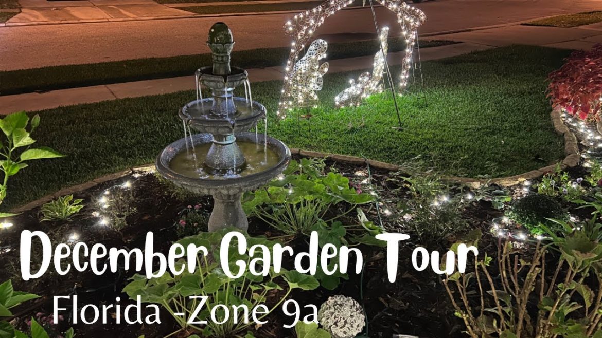 December garden tour - Florida - Zone 9a