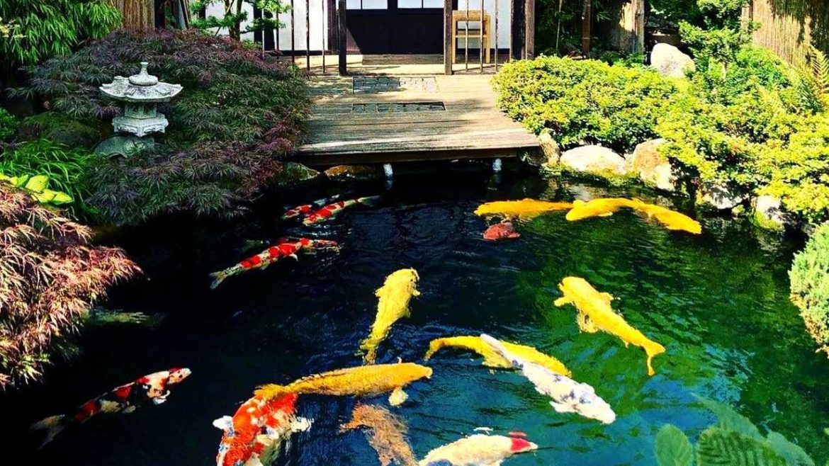 3 Ultimate Japanese Garden Koi Pond Ideas | Beautiful Backyard Koi Pond