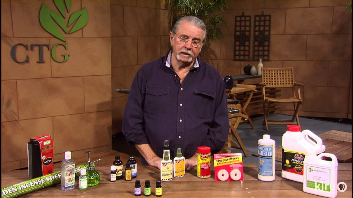 Natural mosquito control |John Dromgoole |Central Texas Gardener
