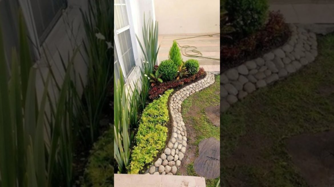 Backyard Landscaping Ideas #shorts #viral #backyard #backyardlandscaping