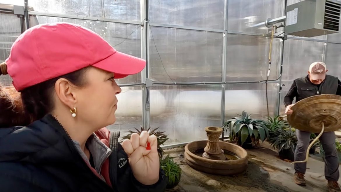 A Day at Creekside in the Winter | Gardening with Creekside