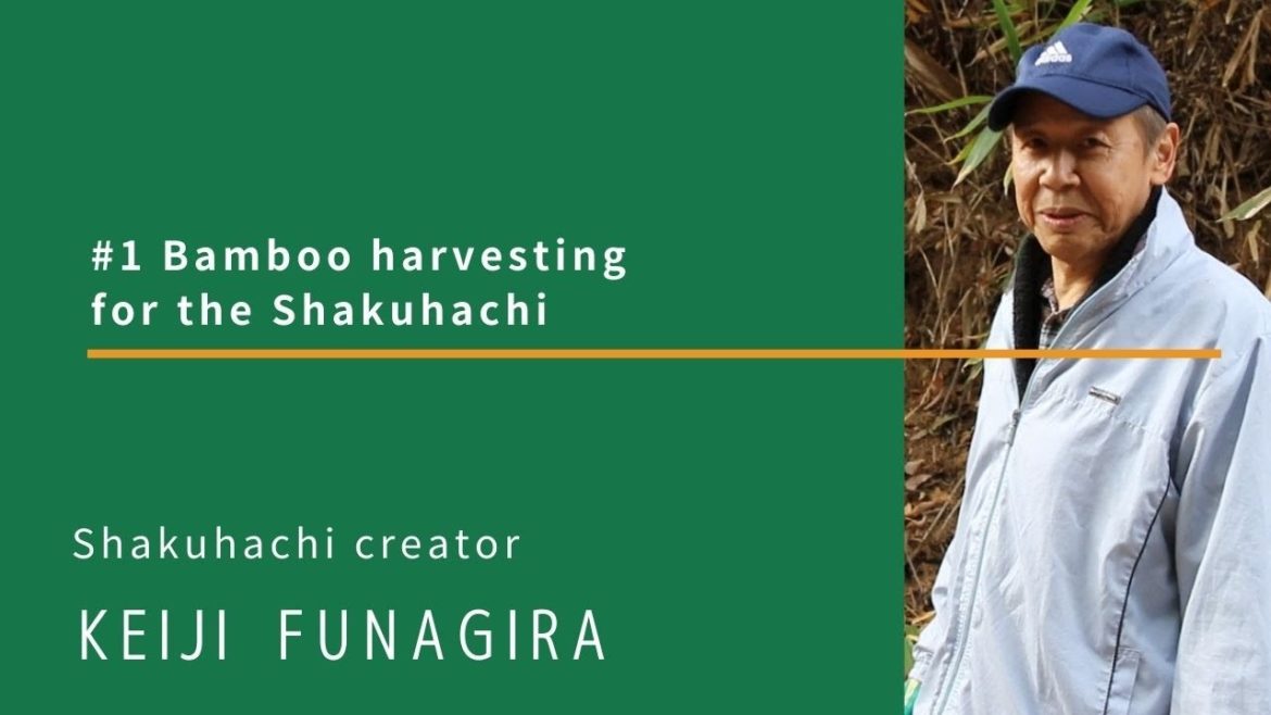 #1 Bamboo harvesting for the Shakuhachi | Shakuhachi creator, Keiji Funagira