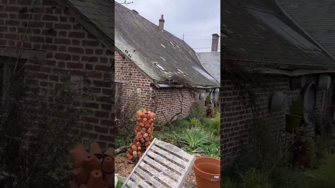 What Are My Gardening Goals 2023 - 2022 in Review