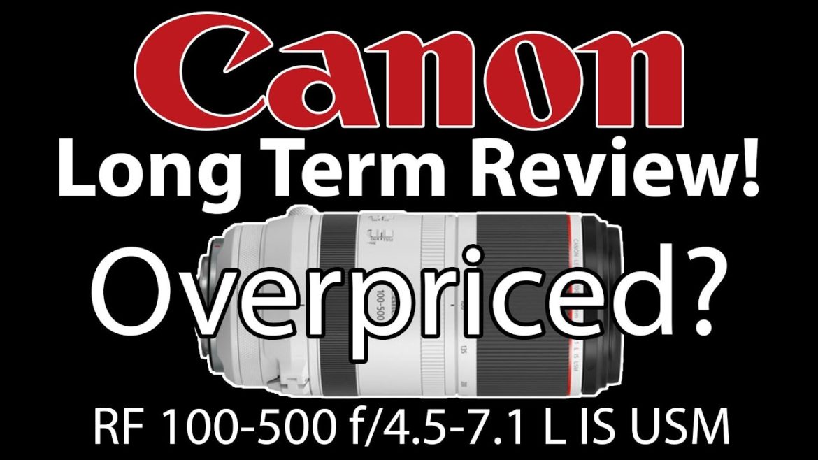 Canon RF 100-500 Long Term Review! Canon RF 100-500 Long Term Review!