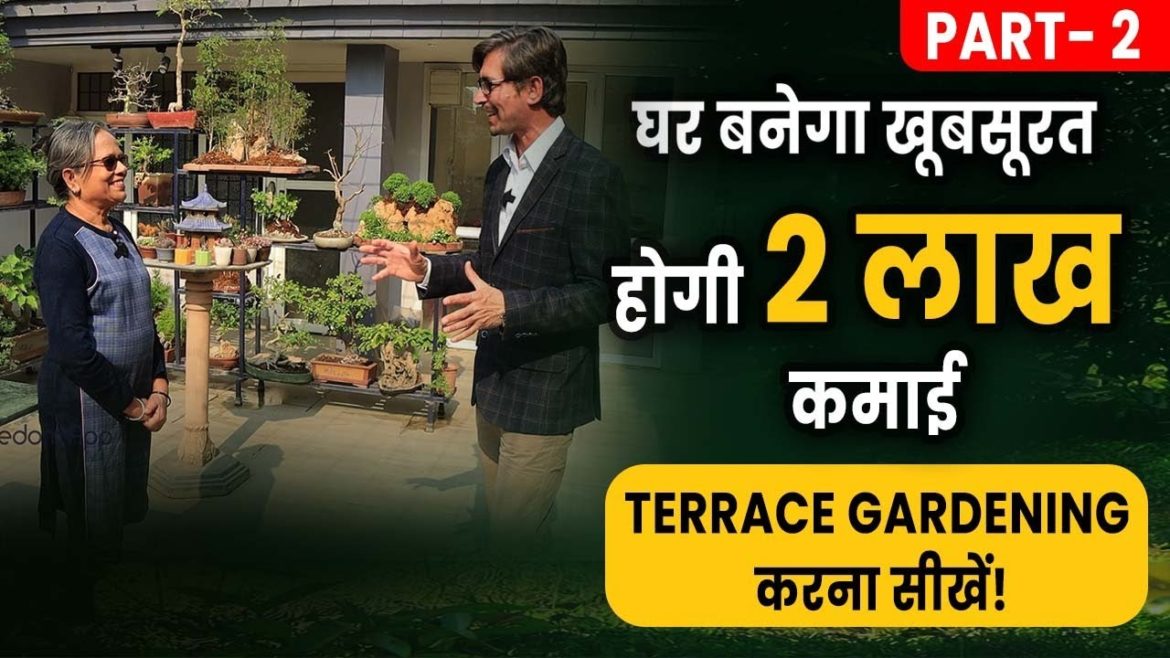 Terrace Gardening Tips in Hindi | Earn upto 2 lakhs from Terrace Gardening Business | Part 2 | Pawan