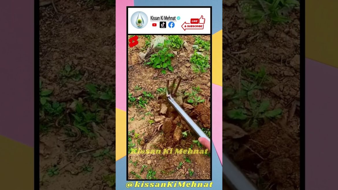 Creative Gardening Tool // Amazing Garden Tools // Agriculture Hand Tools. @KissanKiMehnat